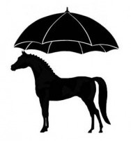 The Horse Umbrella - Home